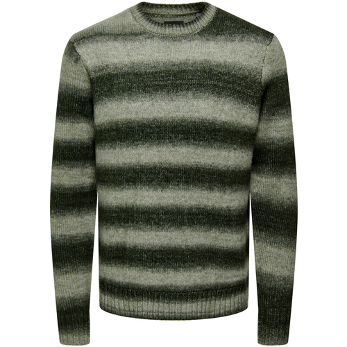 Oblečenie Muž Svetre Only & Sons  ONSMARCEL REG 3 GRADIENT CREW KNIT 22027155 Zelená