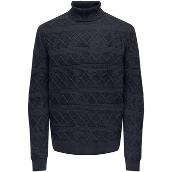 Oblečenie Muž Svetre Only & Sons  ONSWADE REG 5 STRUC ROLL NECK KNIT 22027158 Modrá