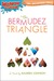 The Bermudez Triangle by Maureen Johnson