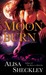 Moonburn (Abra Barrow #2) by Alisa Sheckley