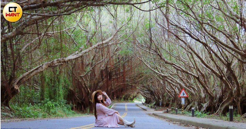 西莒著名的有容路林蔭隧道，大片榕樹鬚根形成天然垂簾，格外浪漫。（圖／官其蓁攝）