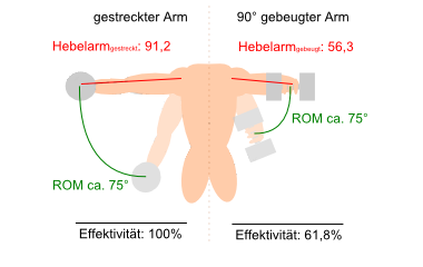 Effektivität des Seithebens in Abhängigkeit von Ellbogenwinkel