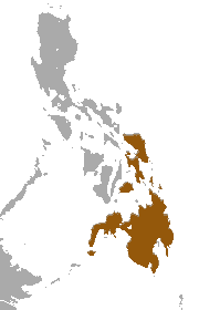 Distribución de Cynocephalus volans