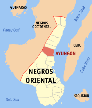 Mapa han Negros Oriental nga nagpapakita kon hain nahamutangan an Ayungon