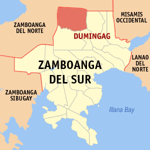 Map of Zamboanga del Sur showing the location of Dumingag