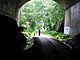 Tunnel opening onto trees and dog-walker