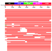 CCDC132 Blast Results.png