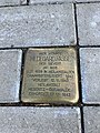 image=File:Stolperstein_Fasse.jpg