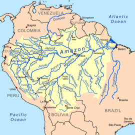 アマゾン川の流域は、多数の支川から構成されている。この地図に示されたアマゾン川以外の河川は、いずれもアマゾン川の支川である。アマゾン川は他の河川の支川ではなく、最終的に大西洋へと注いでいる。