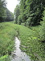 Fladderkanal im Darener Wald