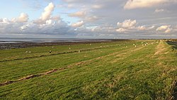 Skyline of Norderfriedrichskoog