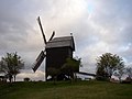 Bockwindmühle, Werder (Havel)