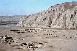 Vue du site d'Aï Khanoum.