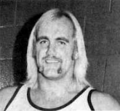 Hulk Hogan