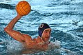 el waterpolo (el waterpolo)