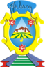 Blason de Juliaca