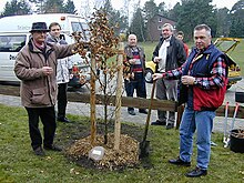 Kommunalpolitiker bei der Baumpflanzung Gemeinde Wagenhoff