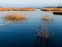 Radharc ar loch mín dorcha