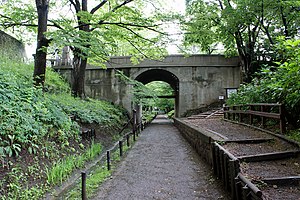 上田城跡公園ケヤキ並木遊歩道