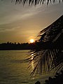 A sunset at the backwaters of Kerala at Astamudi in Kollam district.