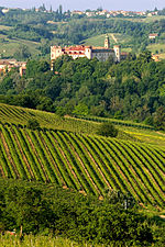 Il castello di Costigliole d'Asti