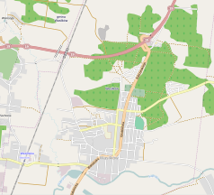 Mapa konturowa Wasilkowa, na dole znajduje się punkt z opisem „Cerkiew parafialna”