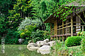 Jardin japonais à Toulouse