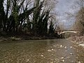 Die Pesa bei Ponte Rotto (San Casciano in Val di Pesa)