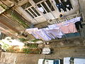 * Nomination Clothes lines in Tripoli, Lebanon. --Ankara 12:13, 31 July 2010 (UTC) * Decline Partially overburnt. --kallerna 12:38, 5 August 2010 (UTC)