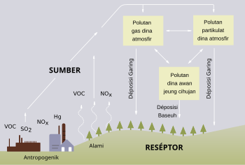 Prosés déposisi asam (tegeskeun yén ngan SO2 jeung NOx anu boga peran signifikan dina hujan asam).