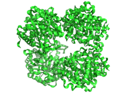 Β-Glucosidase