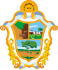 Lambang resmi Manaus