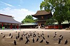 Hakozaki Shrine