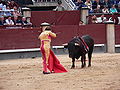 Thumbnail for Bullfighting