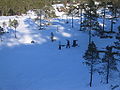 Out in the woods outside Namsos, Norway during the winter 2003/2004