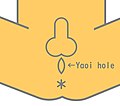 Yaoi hole