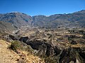 Terrassen am Colca-Canyon