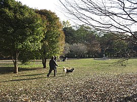 砧公園