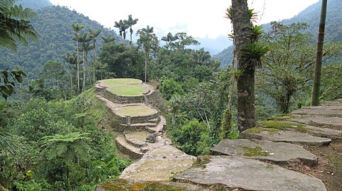 Ciudad Perdida is a major settlement believed to have been founded around 800 CE. It consists of a series of 169 terraces carved into the mountainside. a net of tiled roads and several small circular plazas. The entrance can only be accessed by a climb up some 1.200 stone steps through dense jungle.[10]