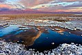 Salar de Atacama, el mayor salar de Chile