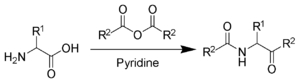 The Dakin-West reaction