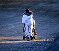 Mother with baby carriage (Cape Dorset 2002)