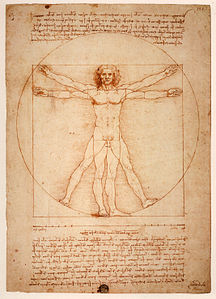 Home de Vitrubi - 1490 - Leonardo da Vinci (1452-1519). Fa 505 de la mort de l'autor.