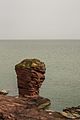 cliff @ Arbroath, Scotland