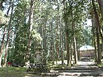 平泉寺白山神社