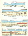 Segmentum VII+VIII cu localitatea Salinis de pe Tabula Peutingeriana