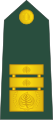 Generalmajorcode: sl is deprecated (Slovenian Ground Force)[60]