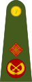 Major-general (Irish: Maor-ghinearálcode: ga is deprecated ) (Irish Army)[31]