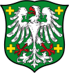 Grünstadt mührü