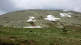 იამანთაუ